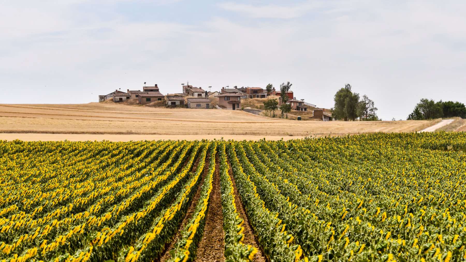 Castilla y León lanza un nuevo cheque rural