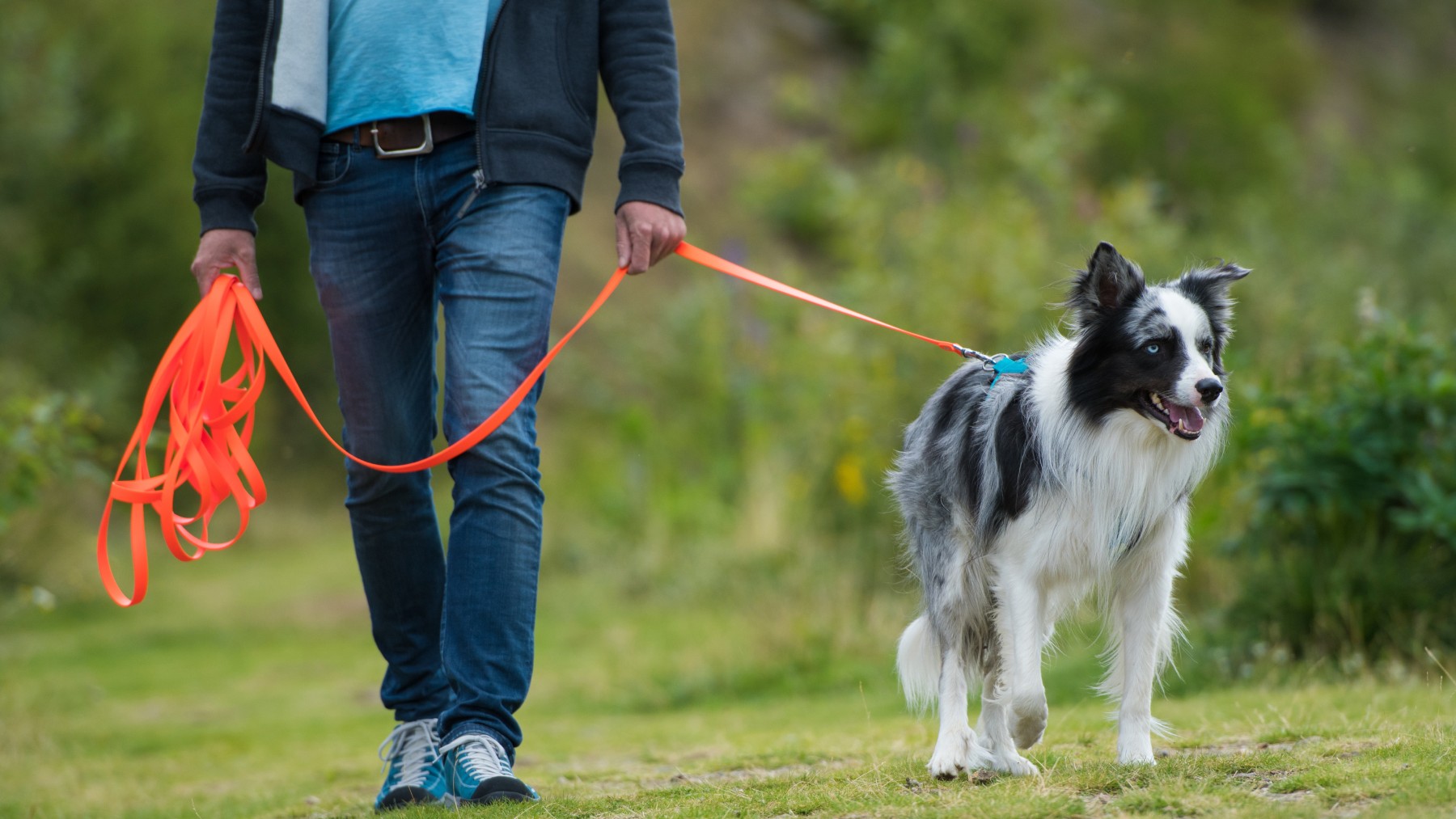 Tu perro puede acarrearte hasta 10.000 euros de multa