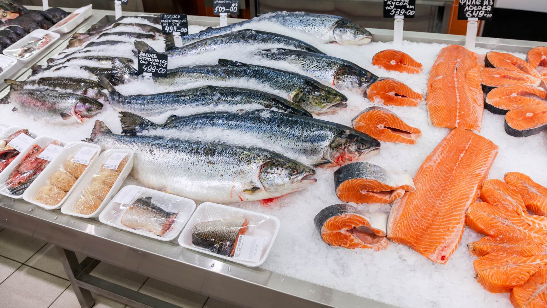 Es oficial: La Xunta lanza el Bono Peixe Galicia 2025