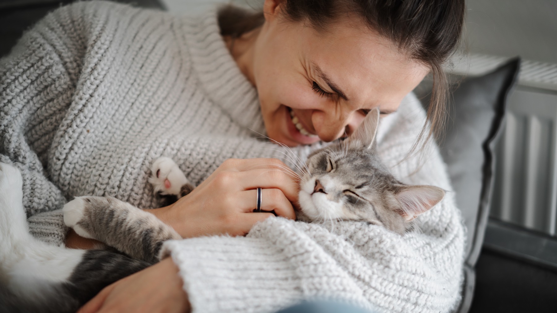 Ley de Bienestar Animal si ignoras alguna de estas obligaciones con tu gato