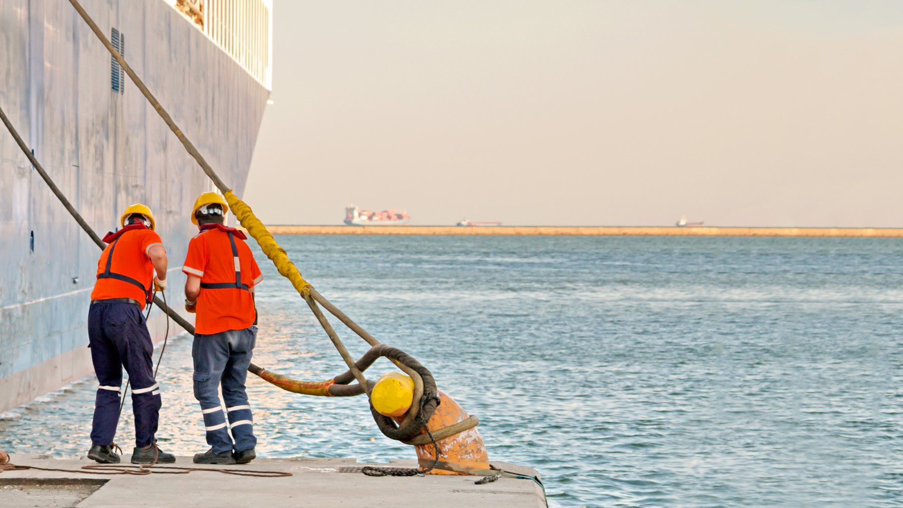 Es oficial: el SEPE oferta más de 180 empleos de alta demanda