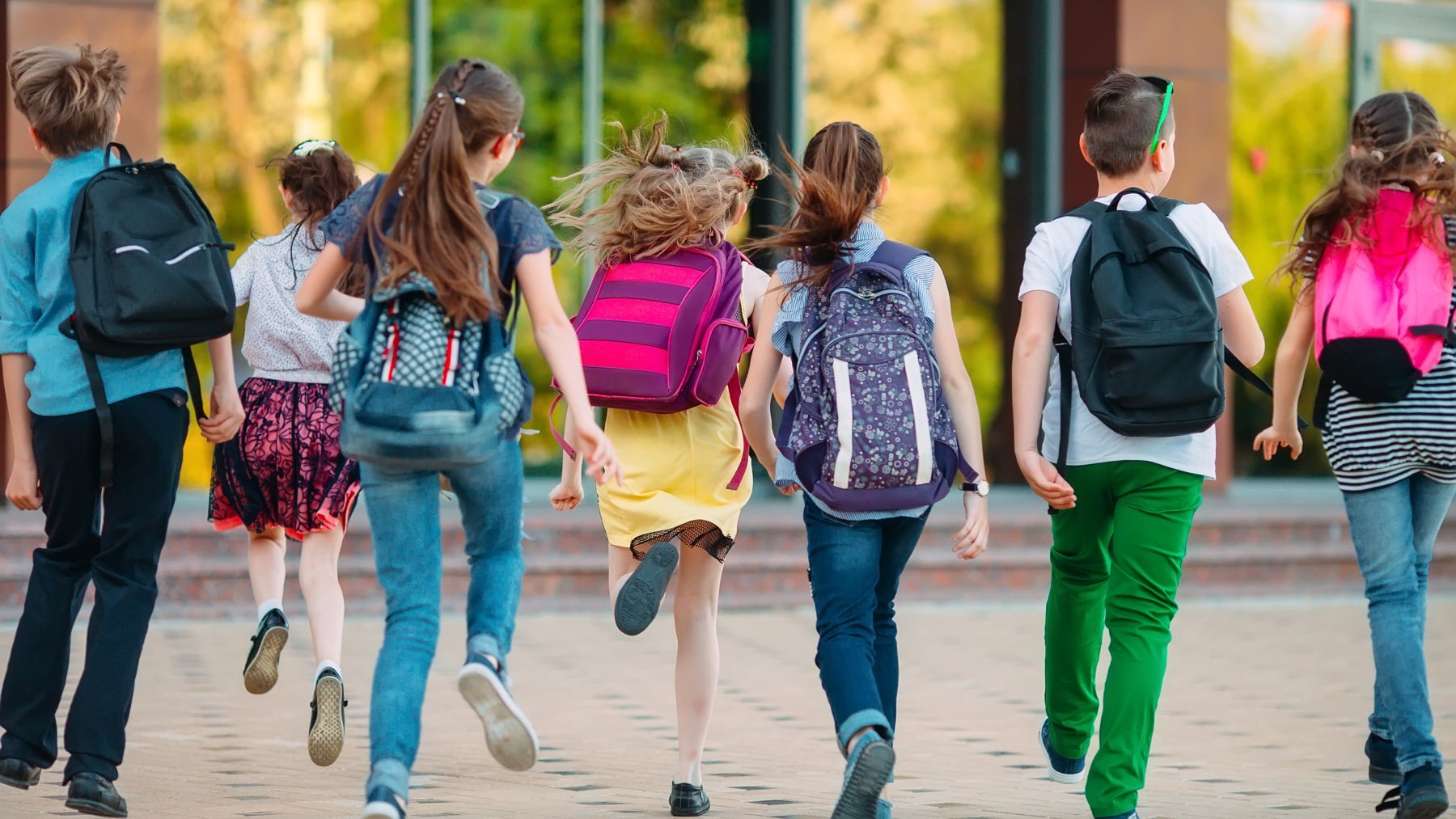 El pastizal que se dejarán las familias en libros con la vuelta al cole