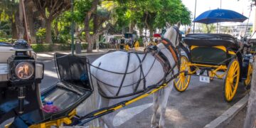 Málaga pone punto final a esta atracción turística