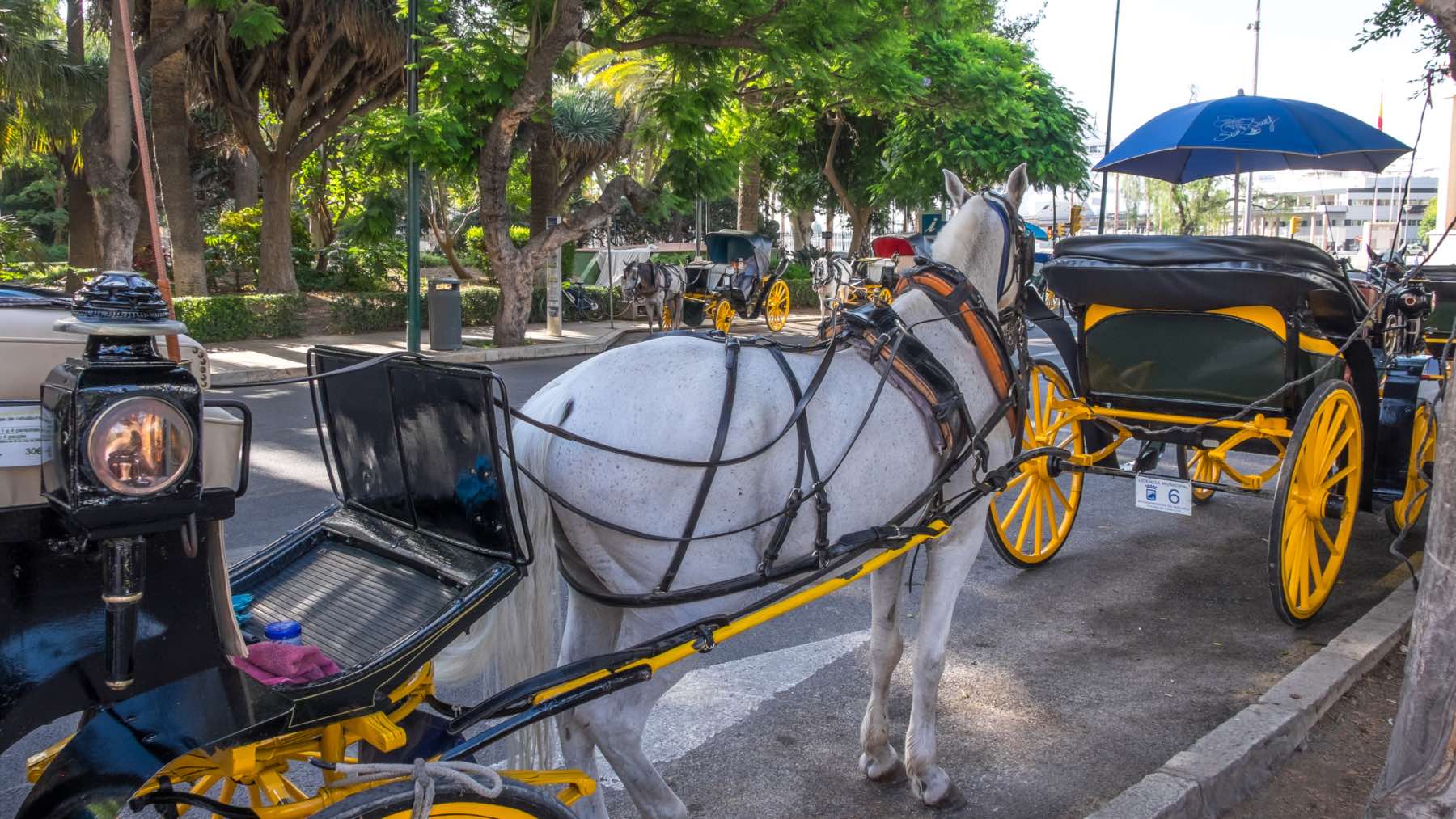Málaga pone punto final a esta atracción turística