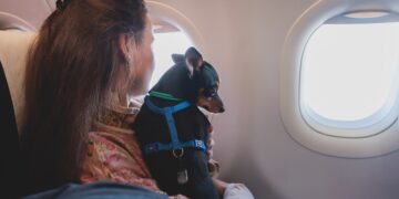 Confirmado: pierden a su mascota mientras vuela