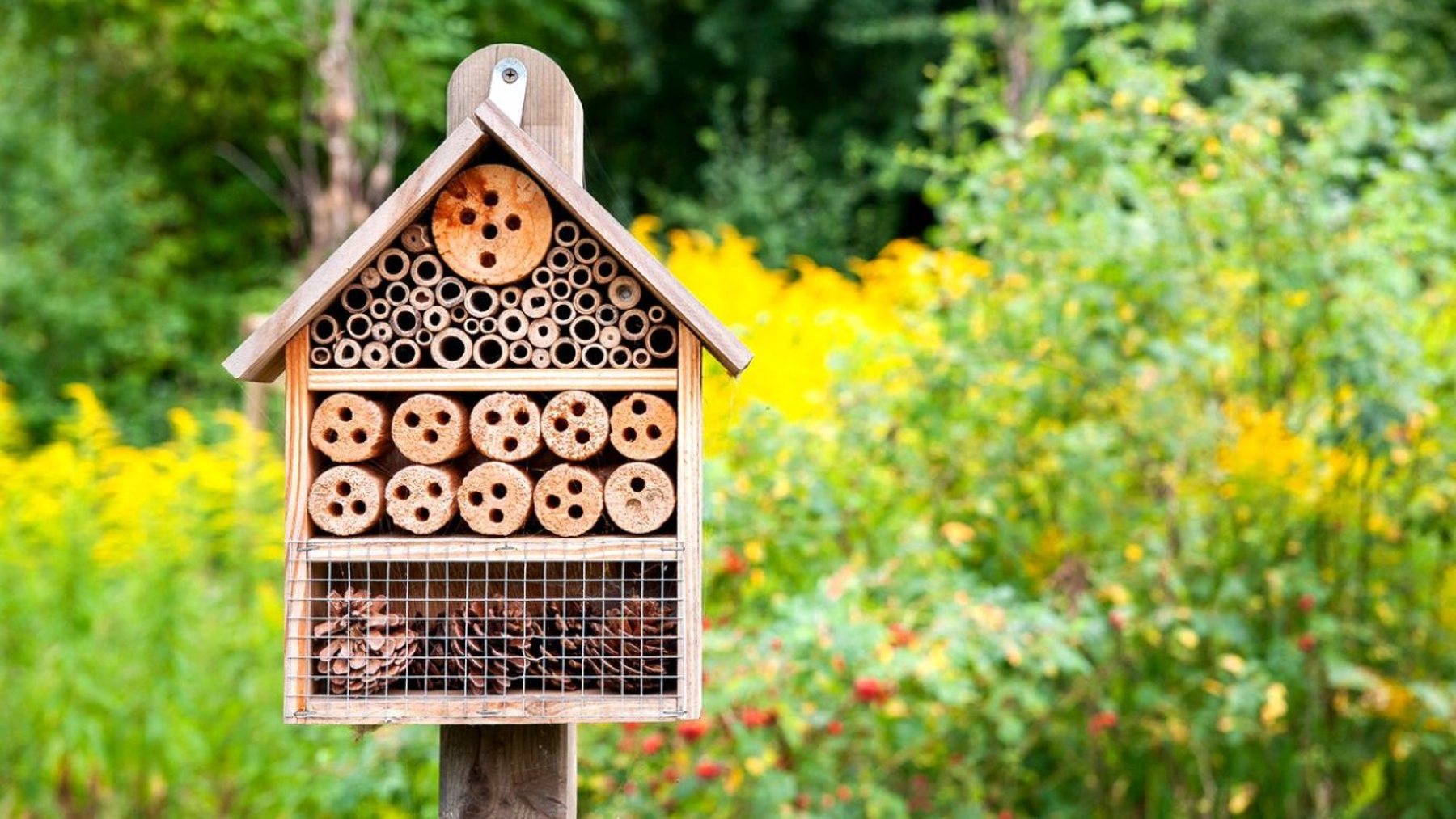 Salvar el planeta... abriendo hoteles para abejas
