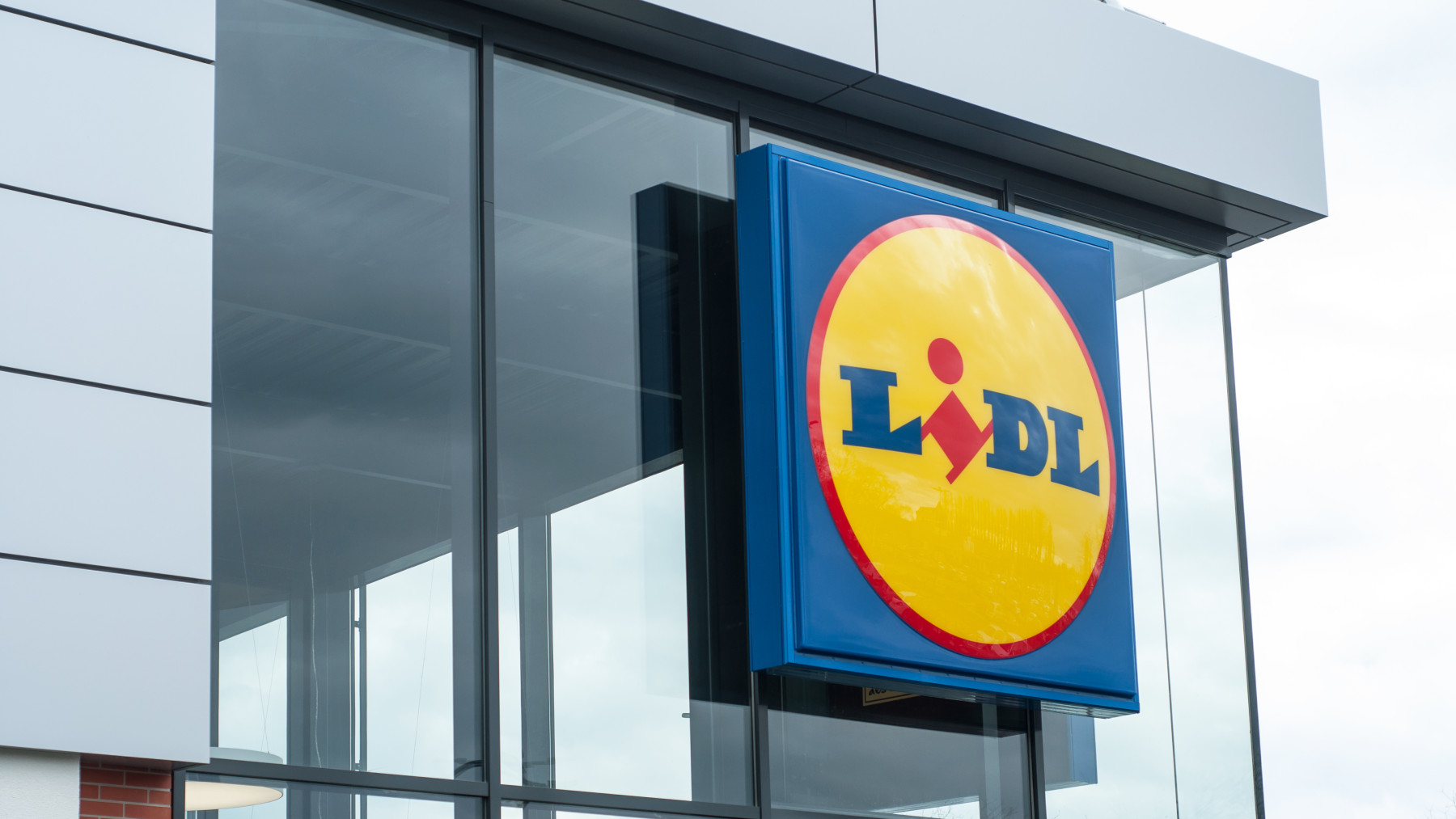 Lidl te prepara para la Navidad: este arbolito es la mejor opción