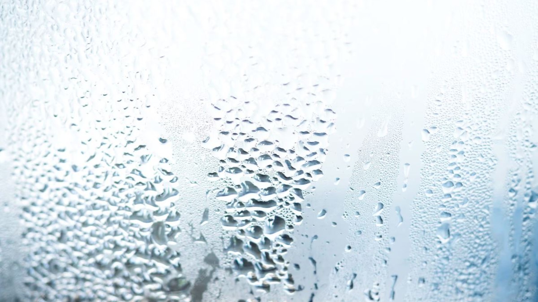 El método más efectivo para acabar con la humedad en casa