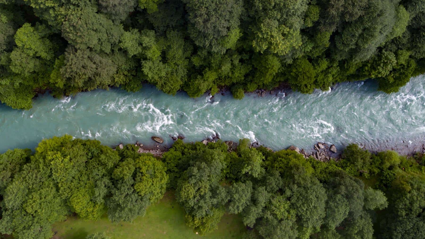 Este país supera a Brasil y a Canadá como el de mayor superficie forestal