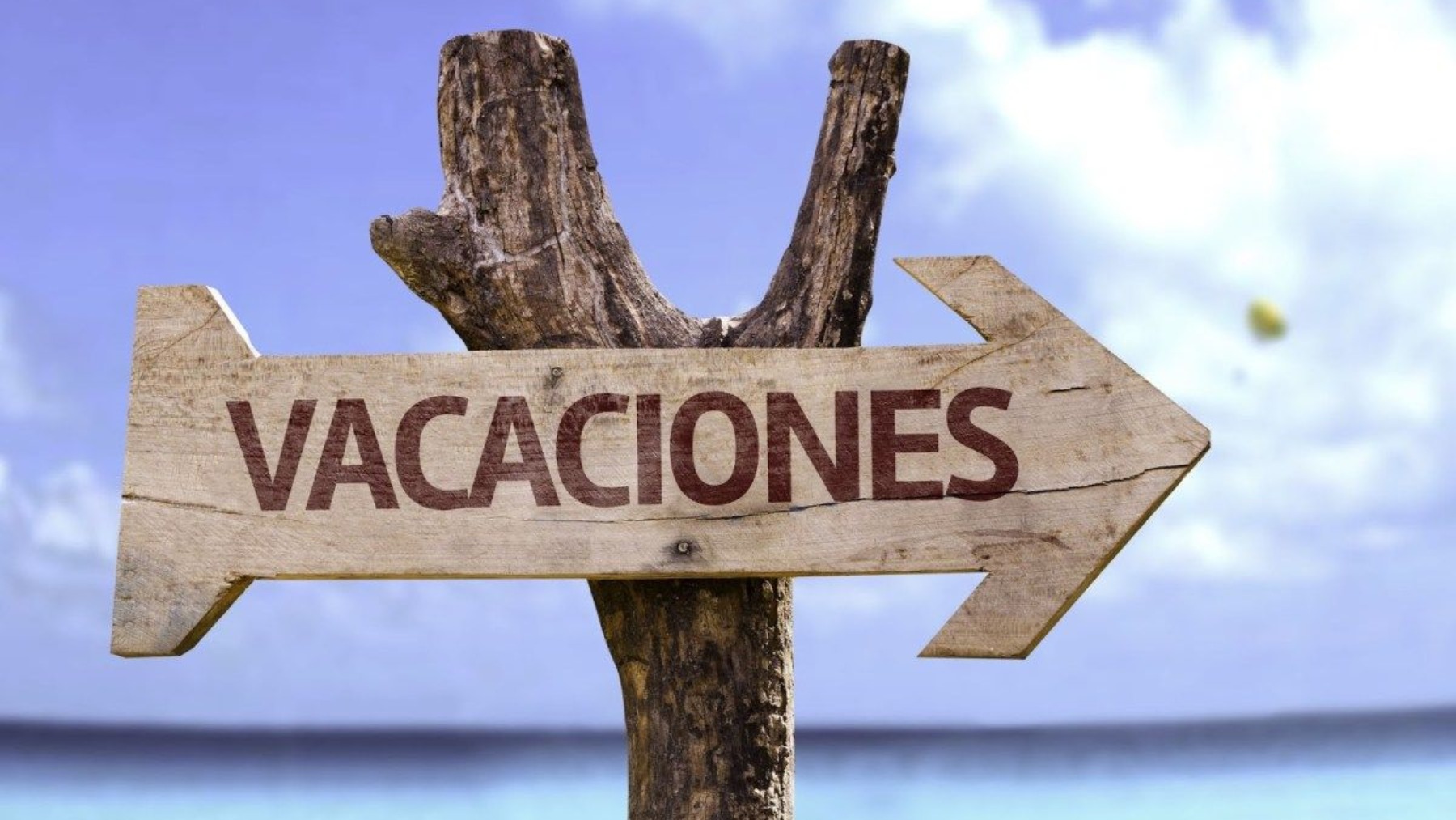 Tu empresa no puede elegir por ti las vacaciones: esto dice el Estatuto de los Trabajadores